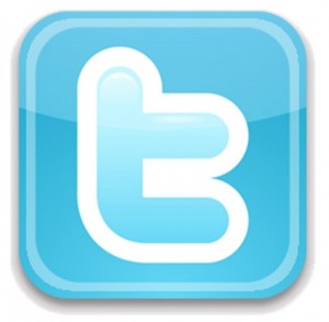 Twitter-Logo-300×293