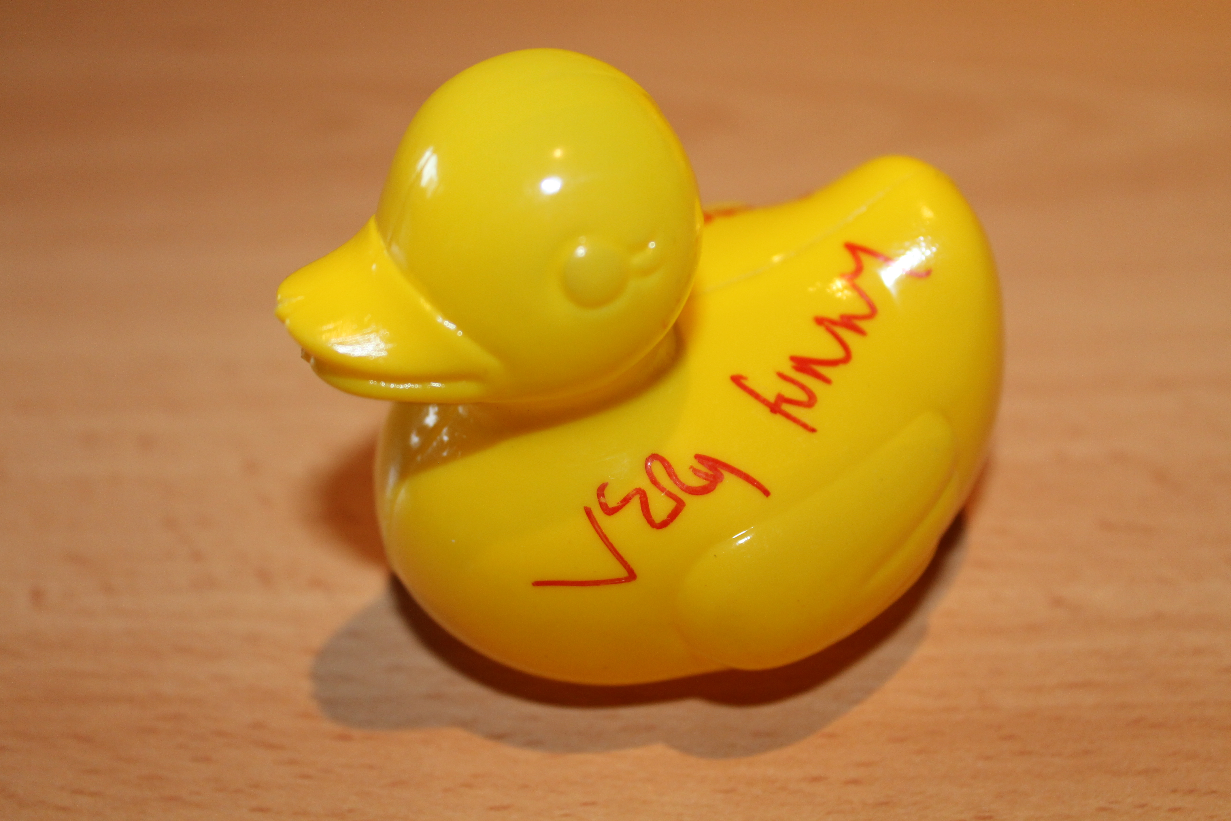 duck