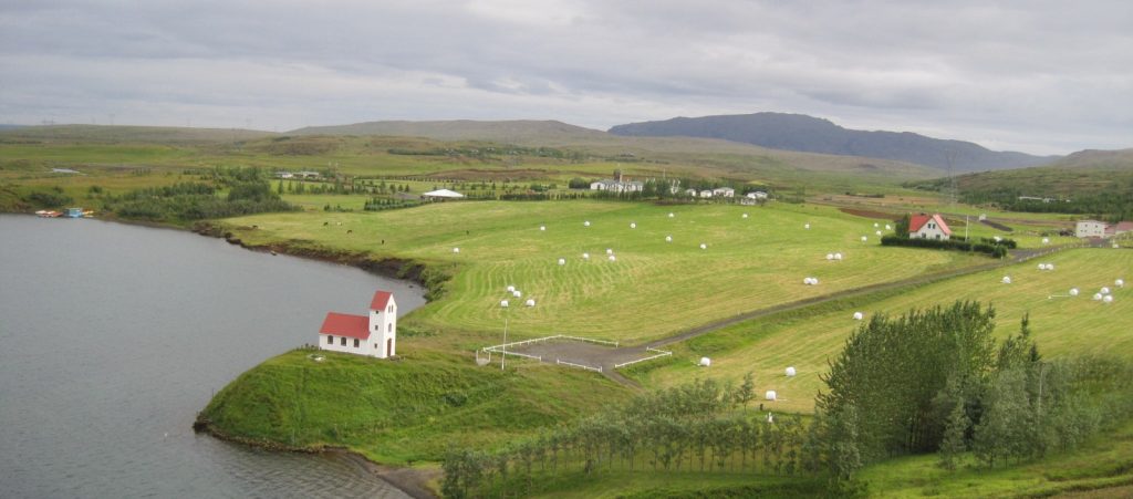 Typical Icelandic rural scene with grazing and church (photograph Fiona Tweed)