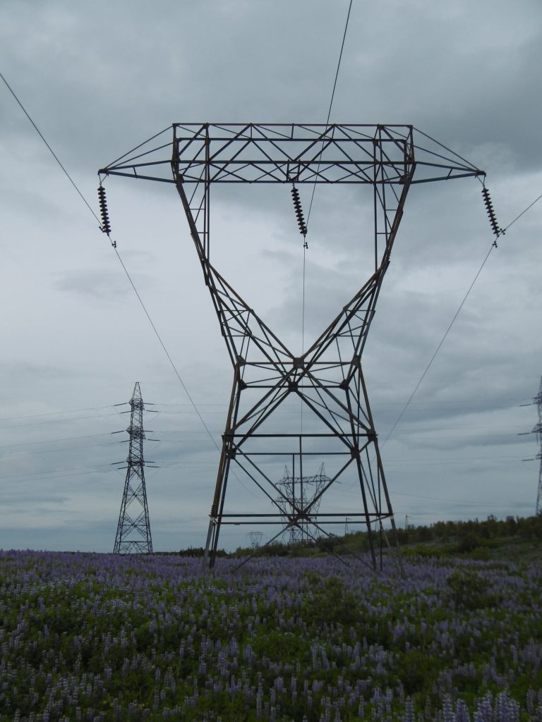 Pylons in the lupins - Southern Iceland, G. Walker, 2016