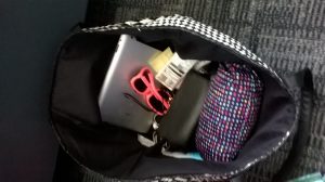 contents of blogger Lauren's handbag