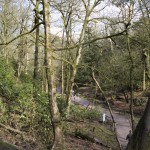Looking through the valley at Monkey Forest