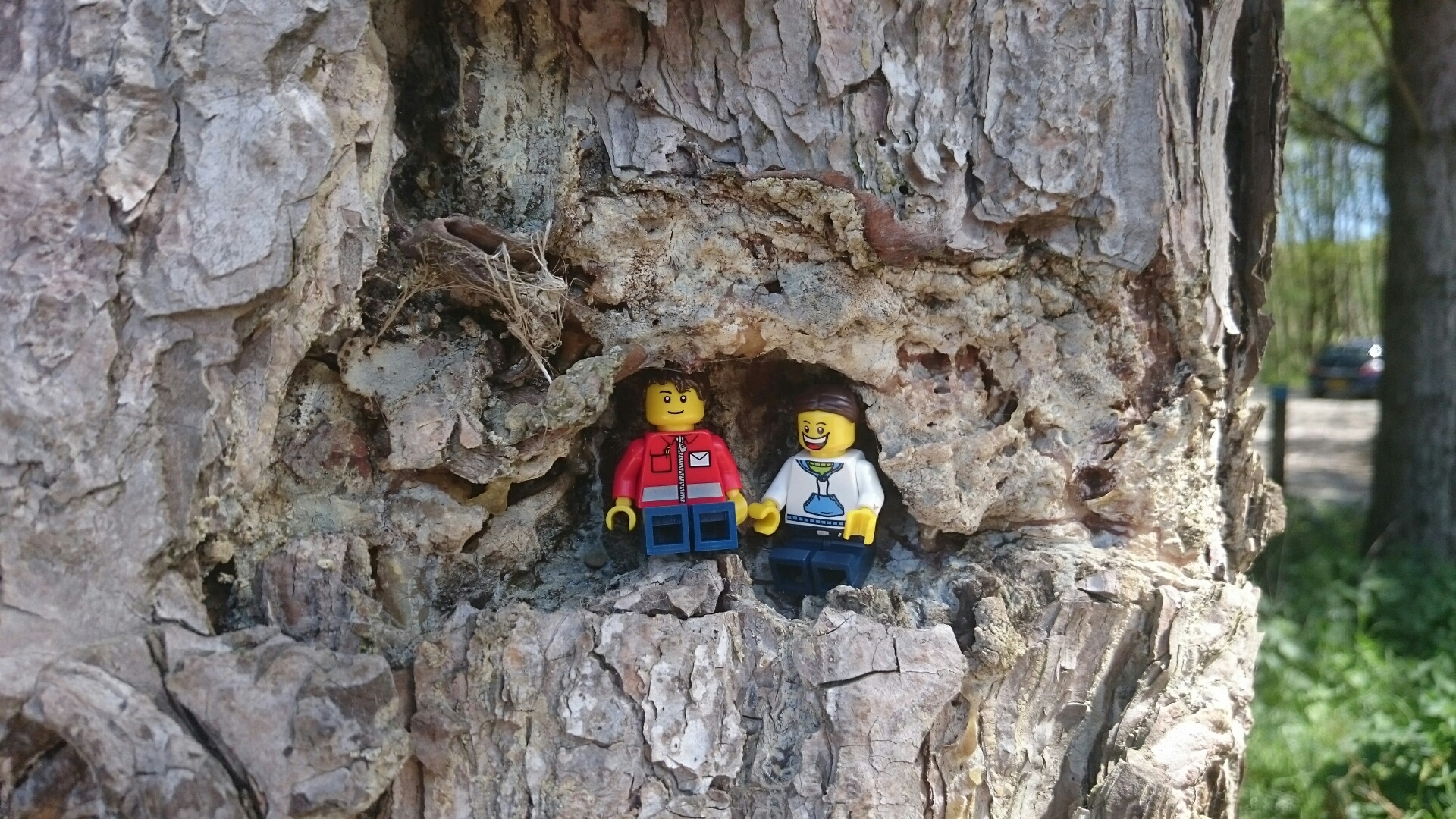 Lego Mini figures in a tree