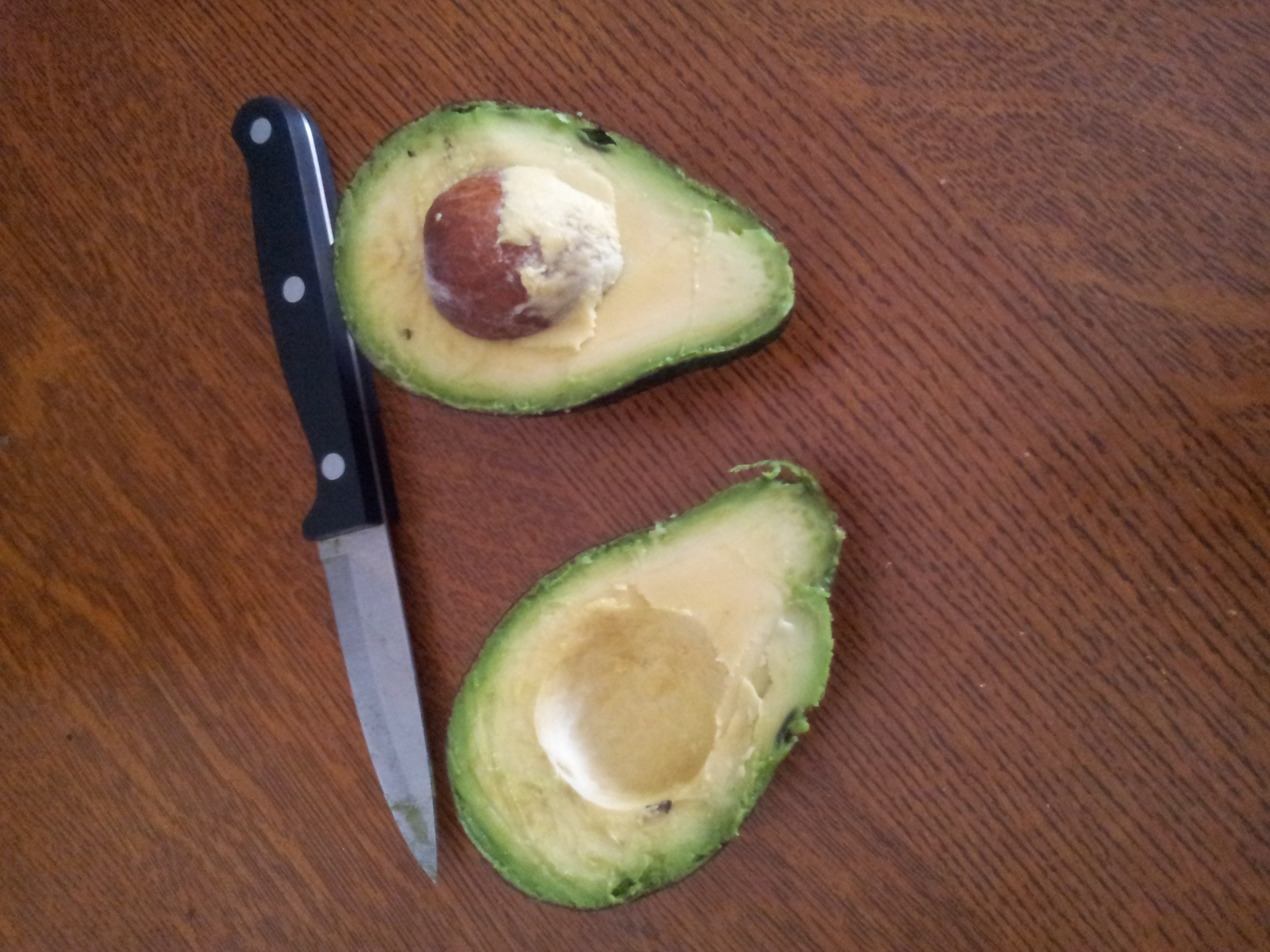 Avocado1