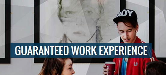 Work Experience