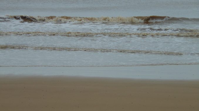 DSC00788