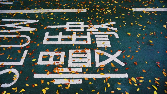 meiying-ng-327142-unsplash